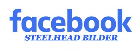 facebook-steelhead
